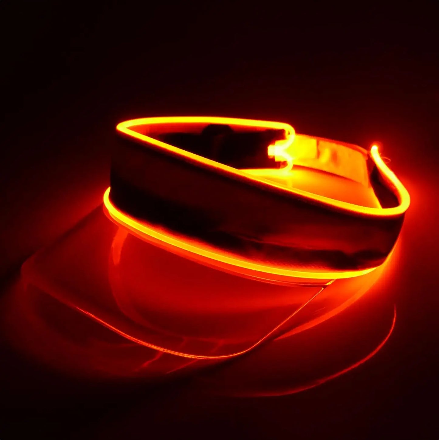 LED Multicolor Neon Visor